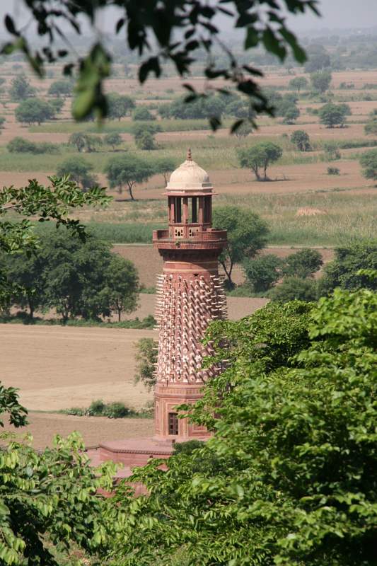 India & Nepal 2011 - 1306